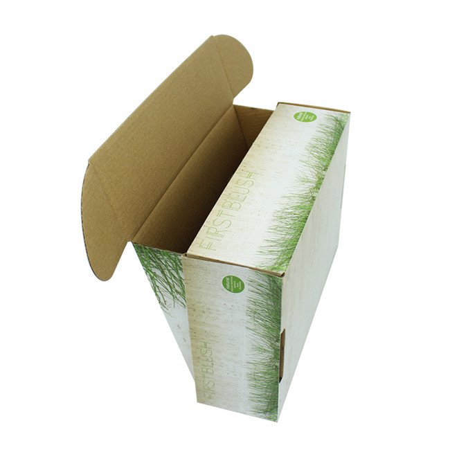 foldable mailing box.JPG